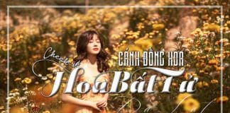 Canh-dong-hoa-bat-tu-da-lat