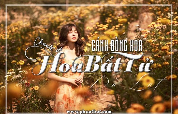 Canh-dong-hoa-bat-tu-da-lat