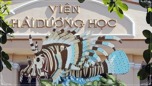 Vien-hai-duong-hoc-nha-trang (19)