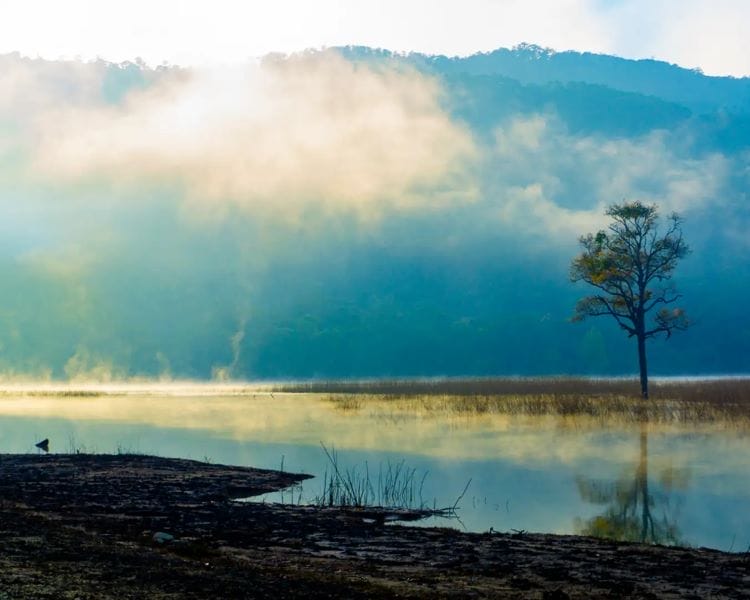 Trekking-cam-trai-rung-la-do-da-man-o-xu-d'ran-gan-da-lat (10)