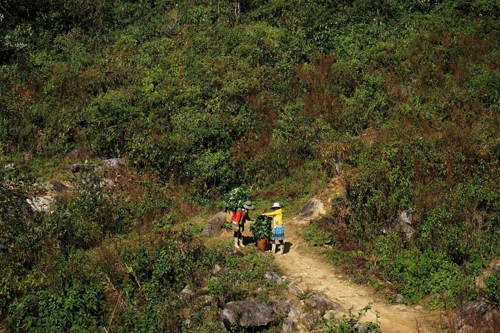 Hanh-trinh-phuot-trekking-dinh-sung-trau-o-tay-bac-hoang-so-va-hung-vi-3