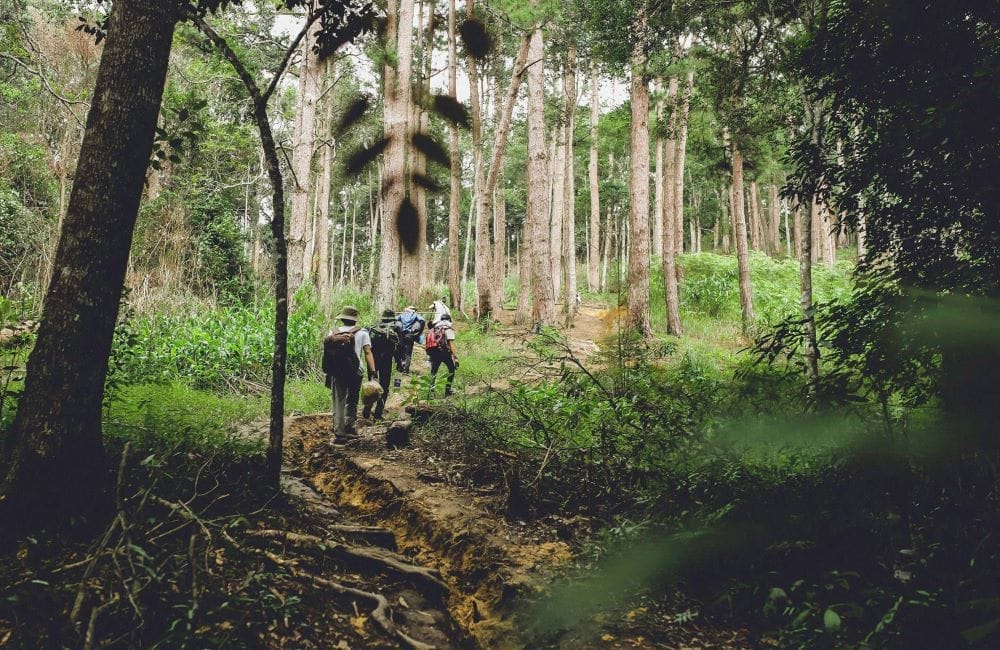 Phuot-trekking-ta-nang-phan-dung-mua-co-xanh-11