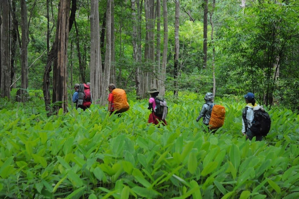 Phuot-trekking-ta-nang-phan-dung-mua-co-xanh-30